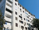 Negrinijeva image